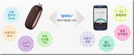 디커피 이미지