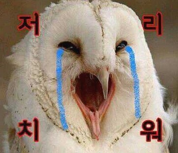 손큰할매순대국 이미지