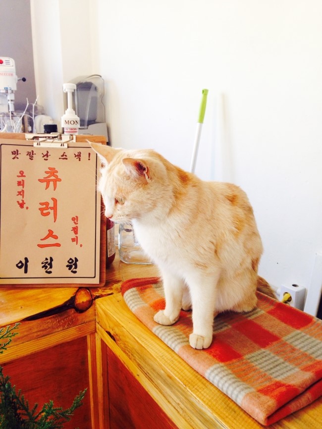 카페여흥 이미지