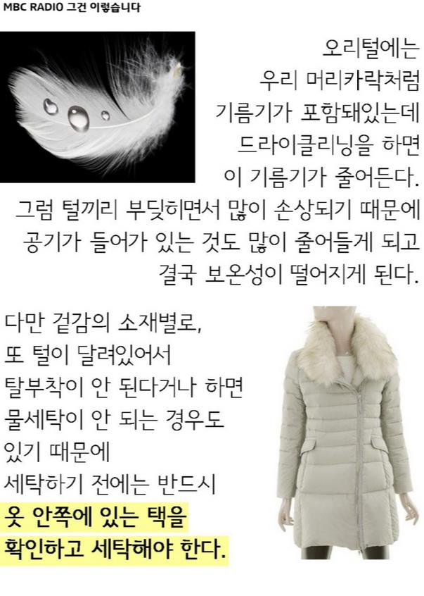 뷰티세탁 이미지