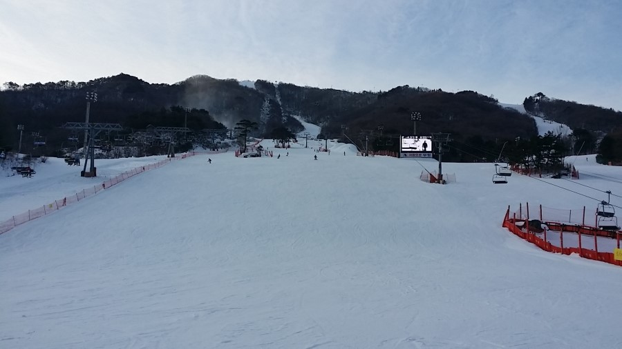 엠에스레포츠 이미지