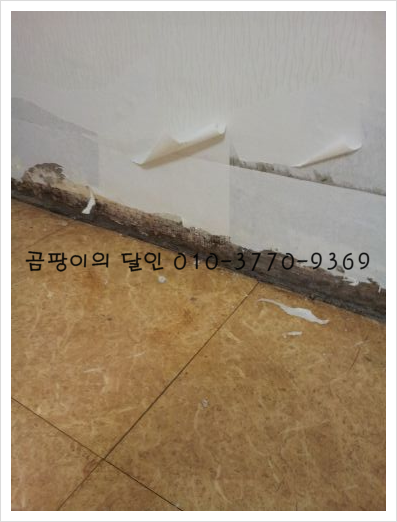 곰팡이제거업체벽지베란다결로단열벽지시공 이미지
