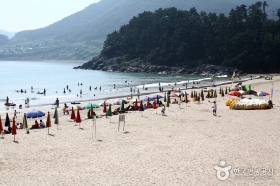 (주)해운대투어 이미지