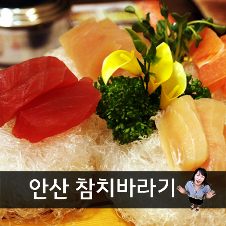 참치바라기 이미지