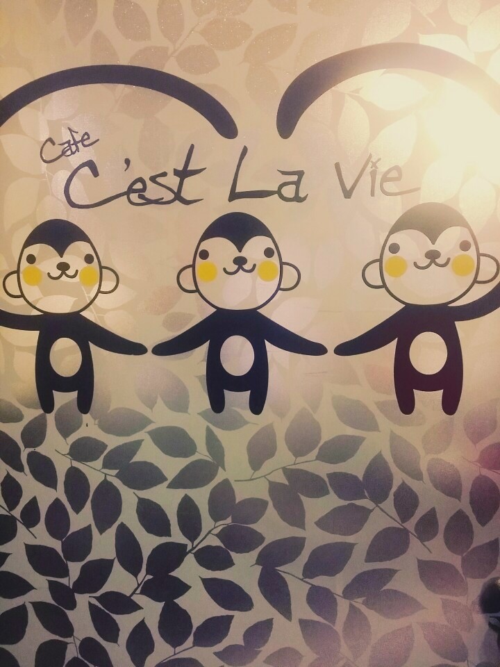 쎄라비카페 이미지