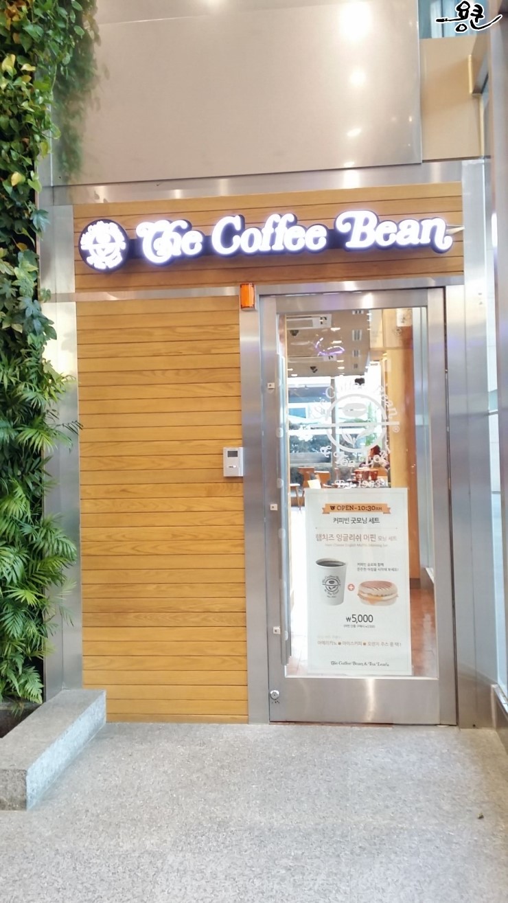 커피빈충무로극동빌딩점 이미지