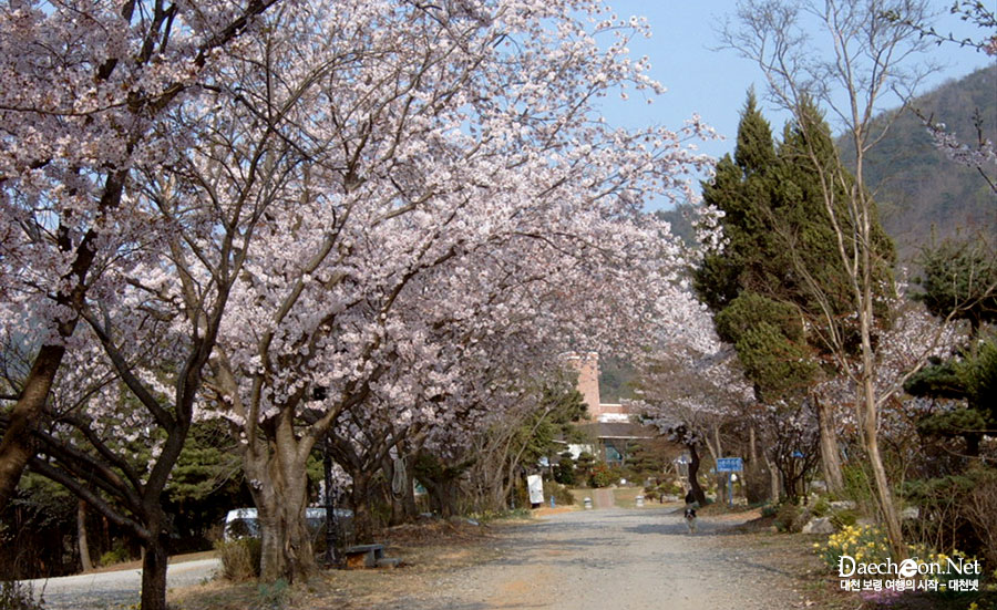 금잔디농원 이미지