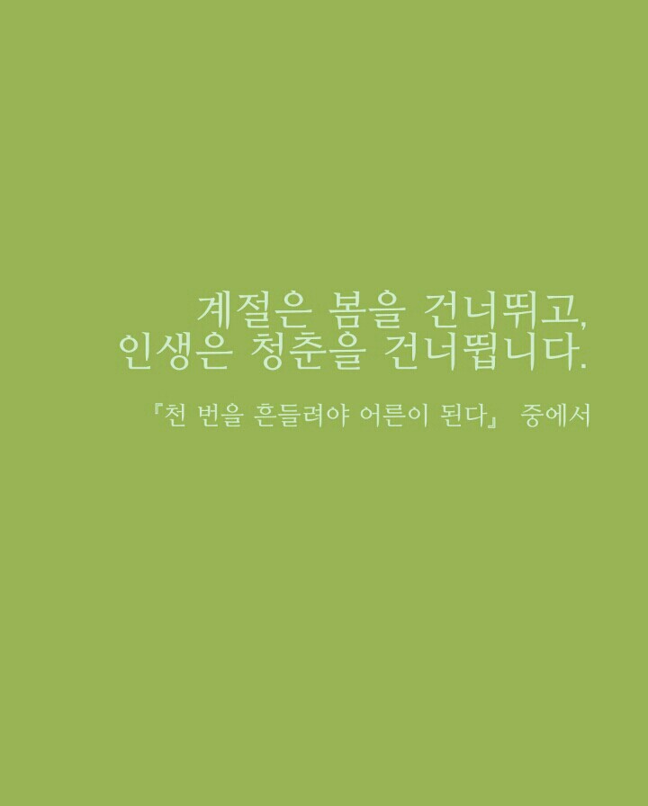 토성오리 이미지