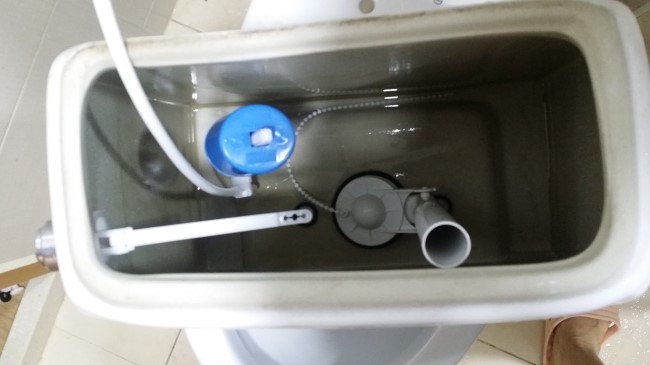 평화농장 이미지
