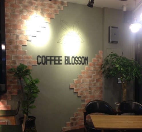 커피블러썸(coffee blossom) 이미지