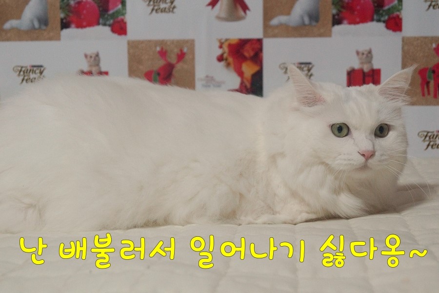 좋은친구팬시 이미지