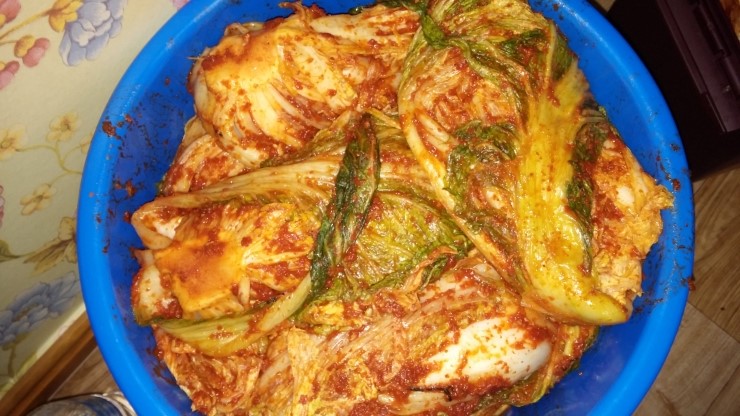 통영어심 이미지