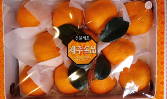유림청과 이미지