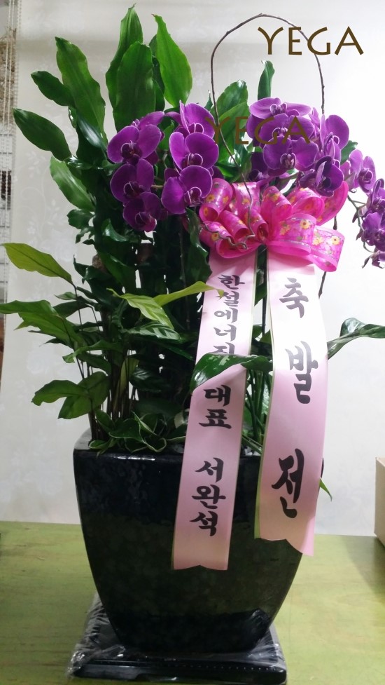 예가꽃예술원 이미지