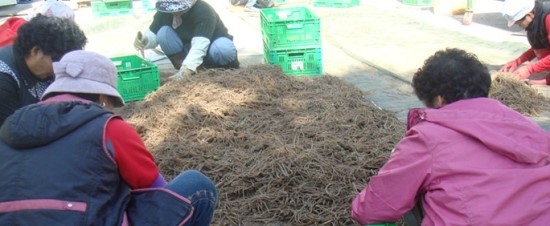 양구친환경영농조합법인 이미지