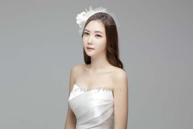 플라비 이미지