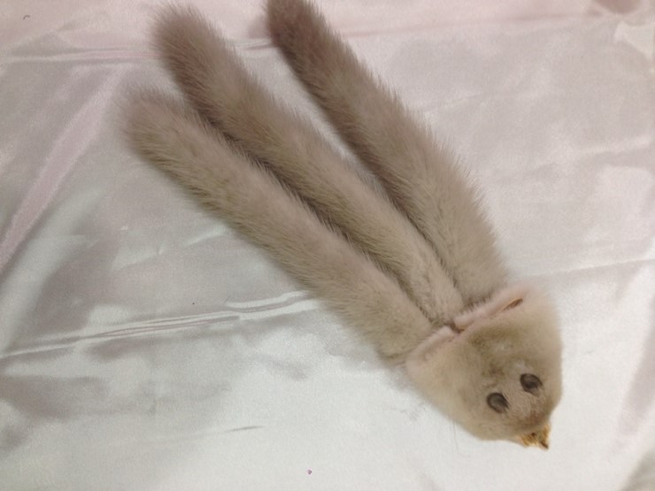 부평모피 이미지