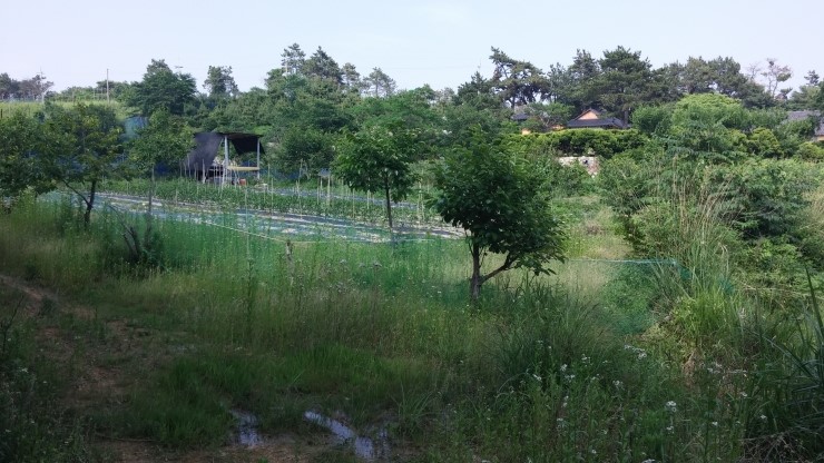 숲속의과수원 이미지