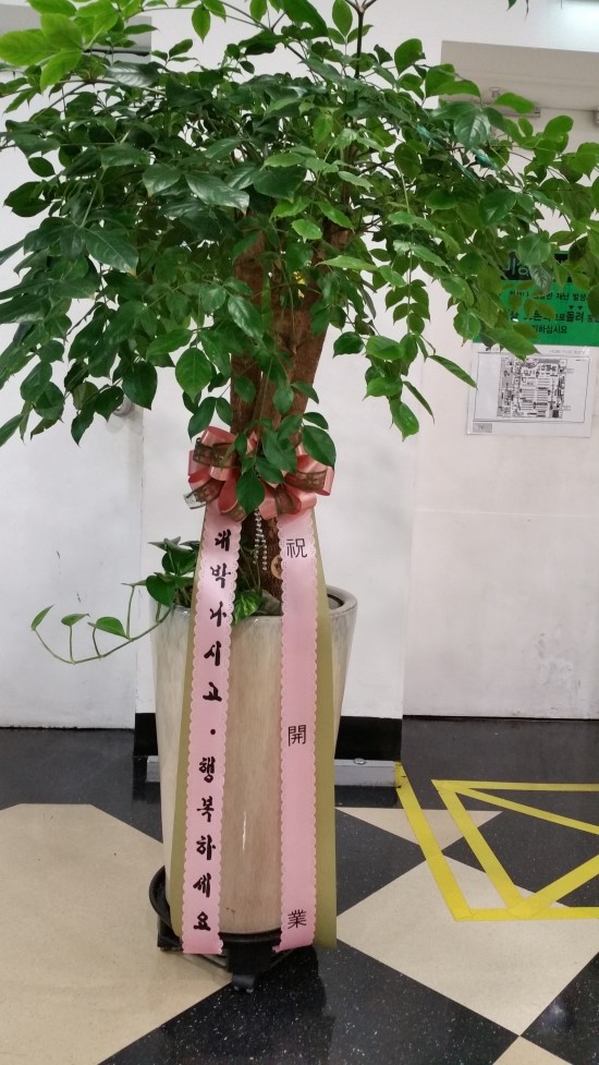 그린필플라워 이미지