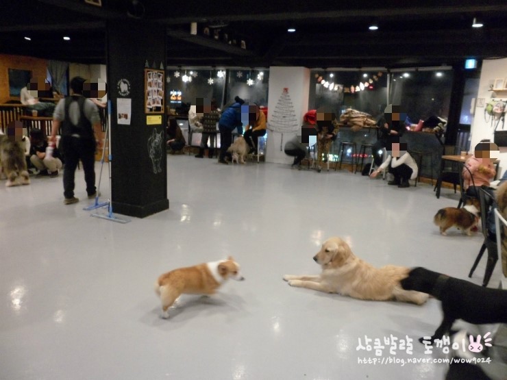 히릿카페 이미지