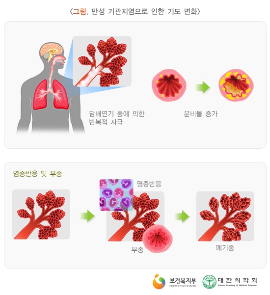 속시원내과의원 이미지