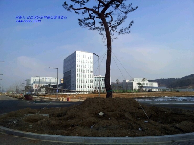 세종조세연구소 이미지