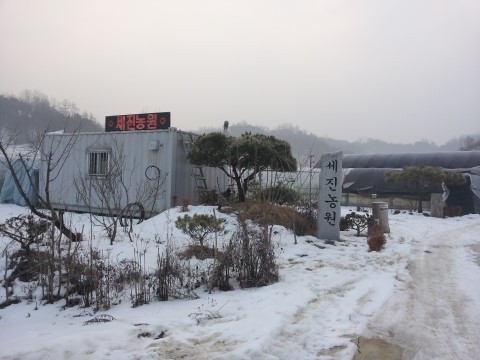 세진농원 이미지