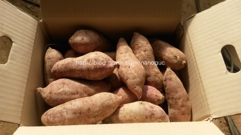 크린하우스광주 이미지