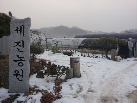 세진농원 이미지