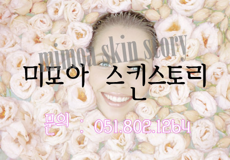 스킨스토리 이미지