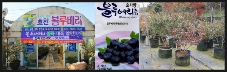 남평체험장 이미지
