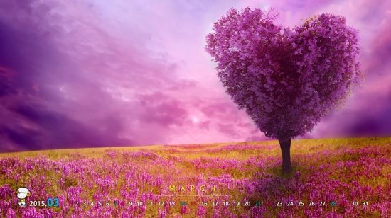 트렌드투어 이미지