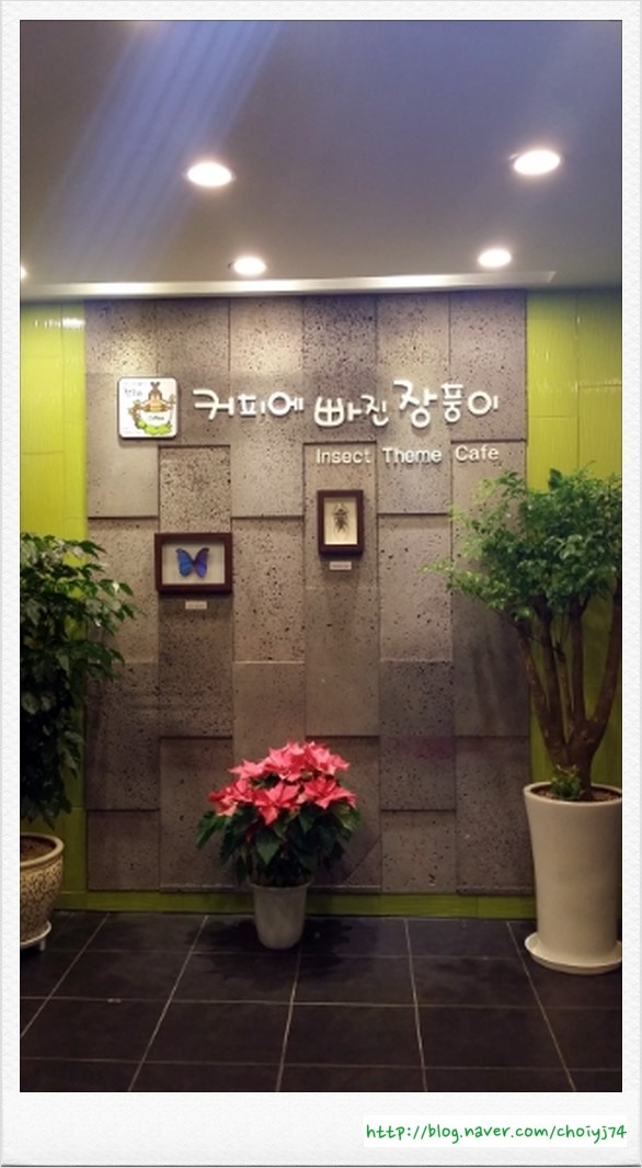 커피에빠진장풍이 이미지