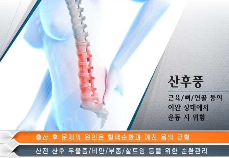 꿀체형관리 이미지