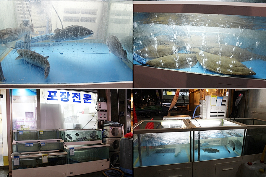 다도회수산 이미지