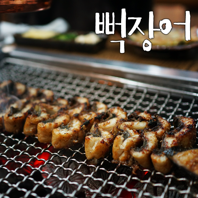 뻑장어 이미지