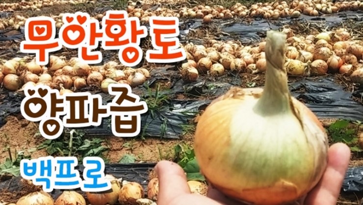 한울타리이벤트 이미지