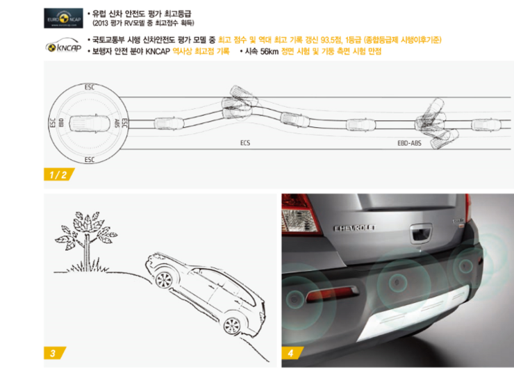 바로잡어 이미지