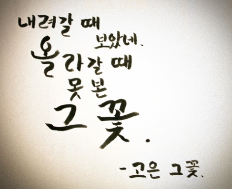 고은;꽃 이미지