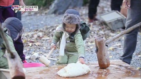 거북이권역 이미지