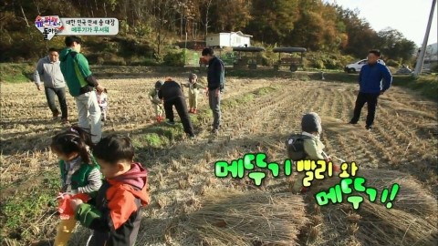 거북이권역 이미지