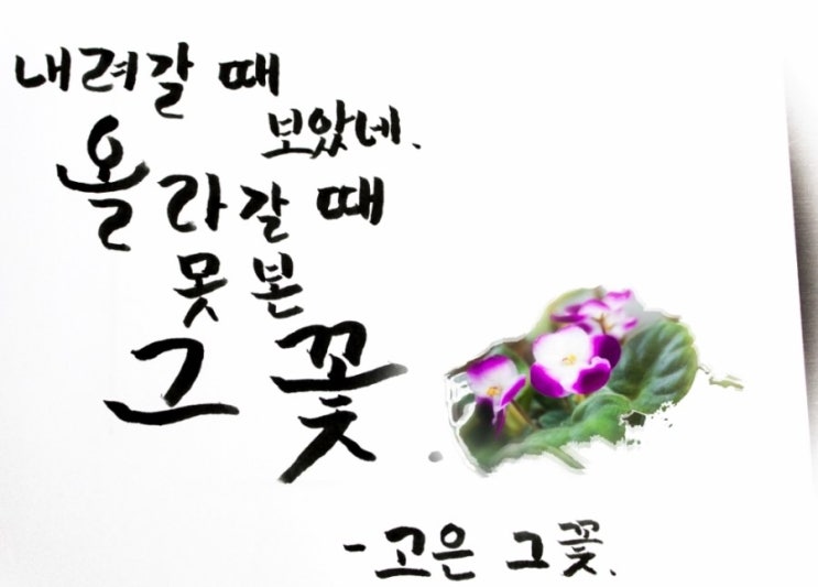 고은;꽃 이미지