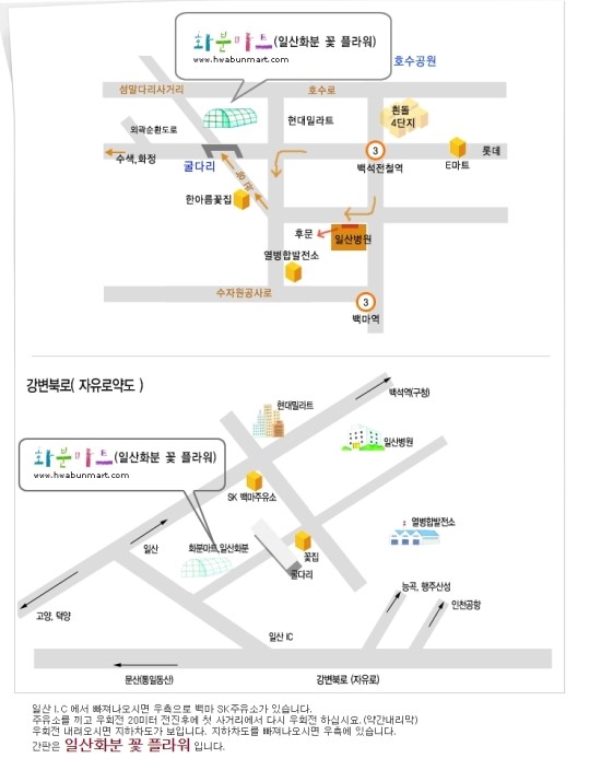 일산플라워화분마트 이미지