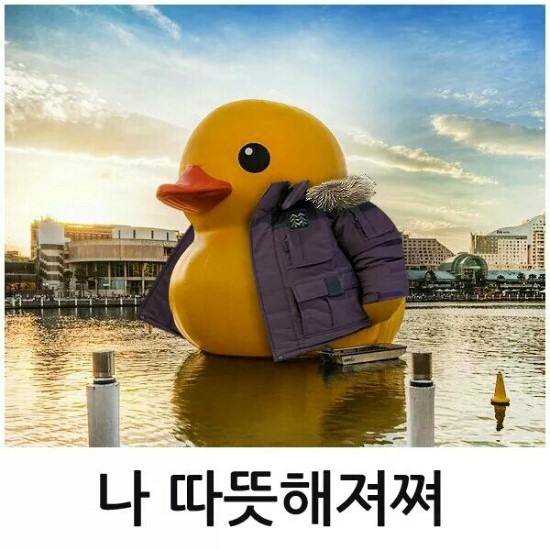 투투치킨 이미지