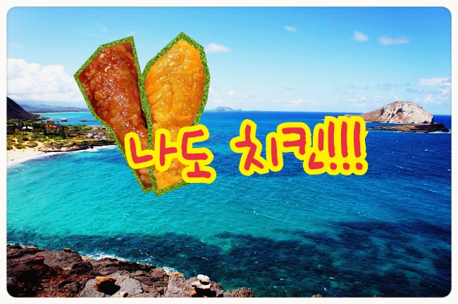 샌드리치 이미지