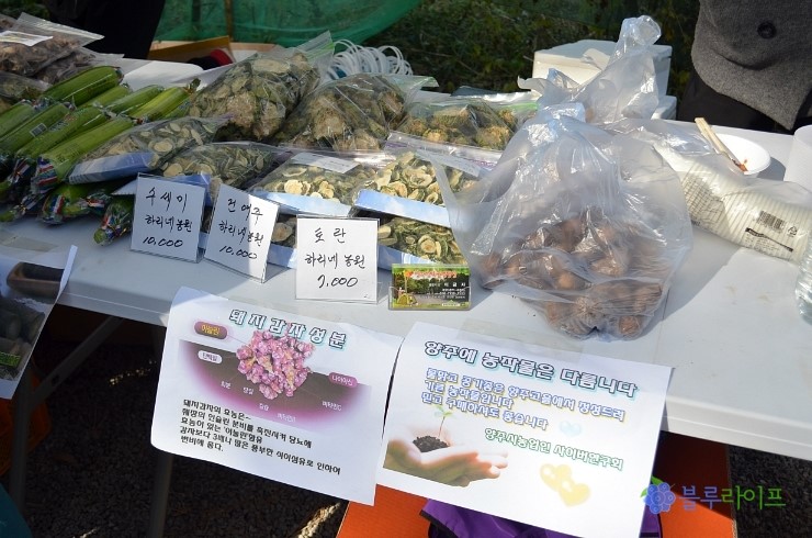 배양팜농원 이미지