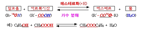 [일반화학실험/유기화학실험] 에스테르화 반응 이론 정리 : 네이버 블로그