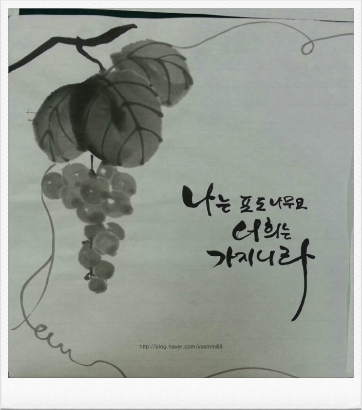 포도나무365 이미지