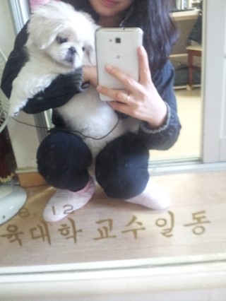 애기몽 이미지