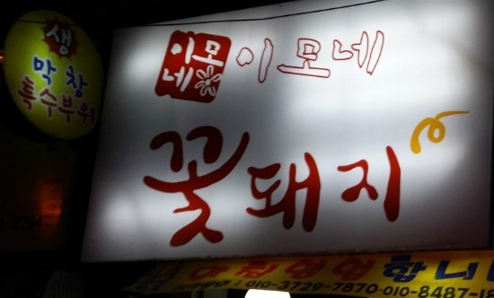 이모네꽃돼지 이미지